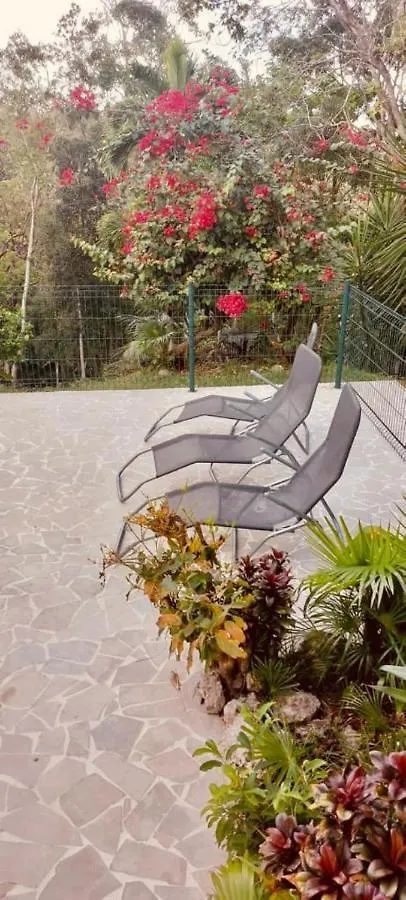 La Bastida : Villa Avec Piscine Le Moule 0*,