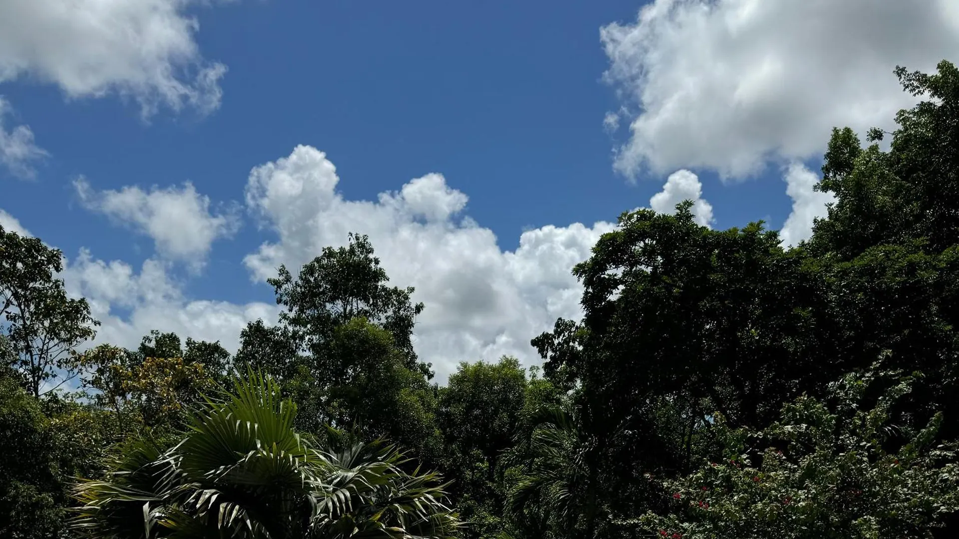 La Bastida : Villa Avec Piscine Le Moule 0*,  Guadeloupe